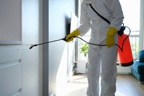 Best Residential Mold Removal  in Shelburn, IN